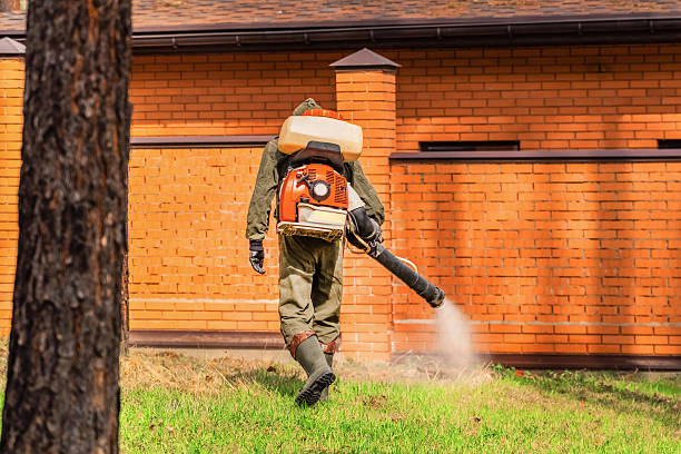 Bed Bug Clearance Verification and Documentation in Dauphin Island